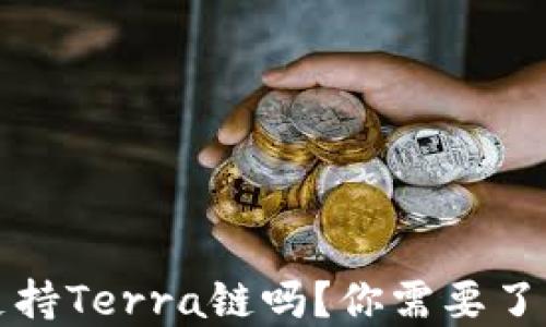 TP钱包支持Terra链吗?你需要了解的一切