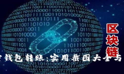 全面了解加密钱包转账：实用截图大全与常见问题解析
