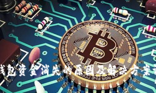 TP钱包资金消失的原因及解决方案详解
