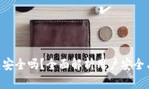 Copay钱包安全吗?全面解析用户安全与隐私保护