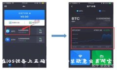 如何在iOS设备上正确下载