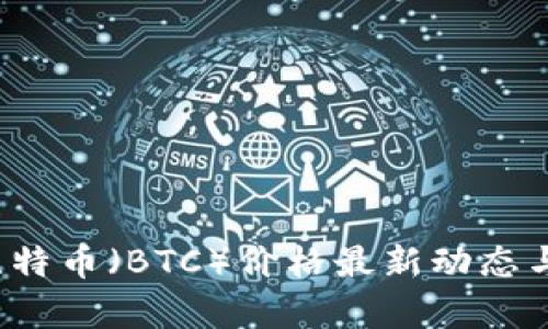 2023年比特币(BTC)价格最新动态与市场分析