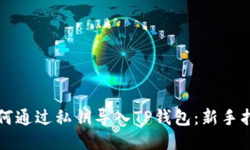 如何通过私钥导入TP钱包:新手指南