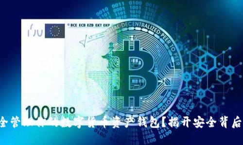 如何安全管理你的数字货币资产钱包？揭开安全背后的悬念！