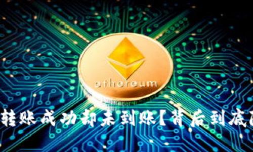 你的TP钱包转账成功却未到账?背后到底隐藏着什么?