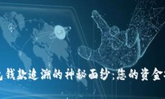 揭秘t p钱包钱款追溯的神
