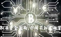 揭秘虚拟币资金流向：你