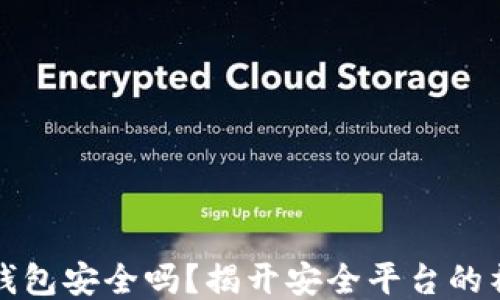 
区块链钱包安全吗？揭开安全平台的神秘面纱