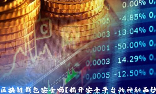 
区块链钱包安全吗？揭开安全平台的神秘面纱