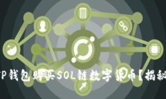 如何轻松在TP钱包购买SO