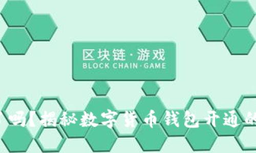 你准备好了吗?揭秘数字货币钱包开通的那些秘密!
