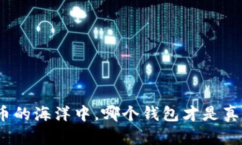 在数字货币的海洋中,哪个钱包才是真正的宝藏?