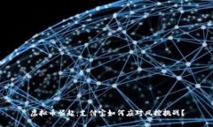 虚拟币崛起：支付宝如何