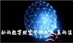 TP钱包：隐秘的数字财富管