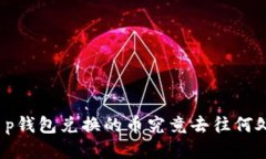 t p钱包兑换的币究竟去往