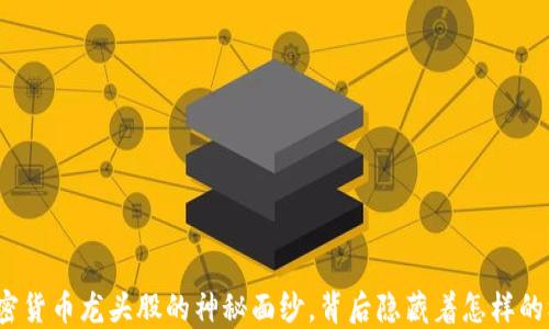 
揭开国内加密货币龙头股的神秘面纱，背后隐藏着怎样的机遇与挑战？