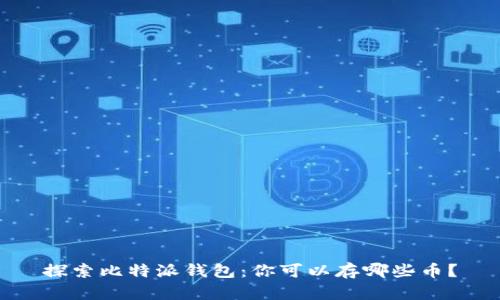 探索比特派钱包:你可以存哪些币?