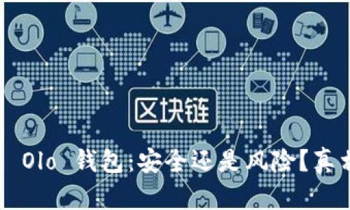 区块链 Olo 钱包：安全还是风险？真相揭晓！
