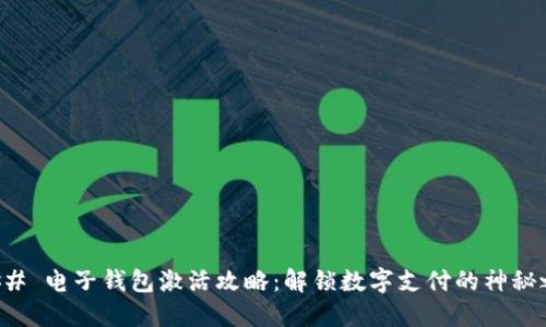 ### 电子钱包激活攻略:解锁数字支付的神秘之门