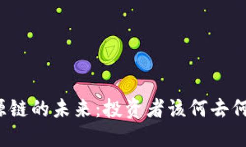 盛源链的未来:投资者该何去何从?