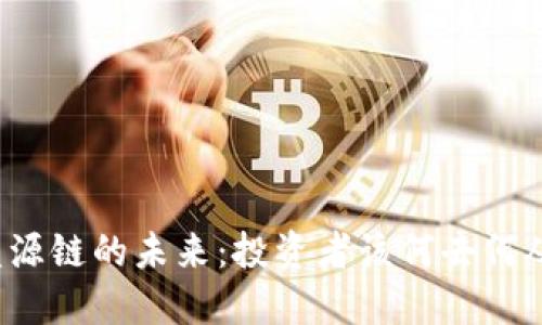 盛源链的未来:投资者该何去何从?