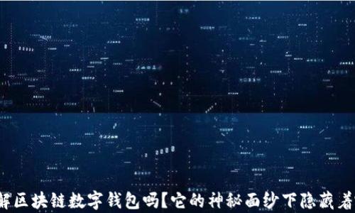 你真的了解区块链数字钱包吗?它的神秘面纱下隐藏着哪些真相?