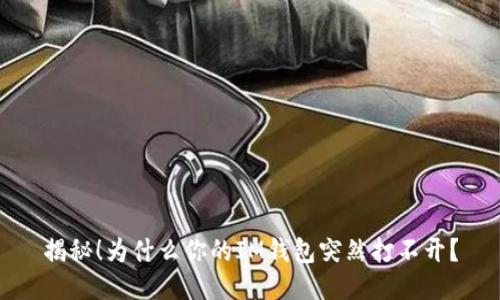 揭秘!为什么你的IM钱包突然打不开?