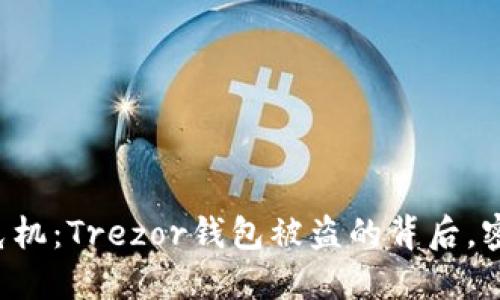 当数字资产遭遇危机:Trezor钱包被盗的背后,密码如何解锁安全?