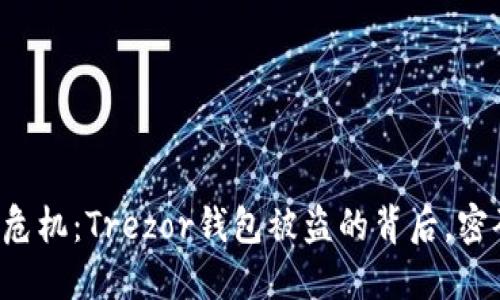 当数字资产遭遇危机:Trezor钱包被盗的背后,密码如何解锁安全?