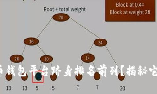 哪些虚拟币钱包平台跻身排名前列?揭秘它们的秘密!