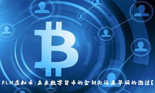 FLM虚拟币:未来数字货币的金钥匙还是华丽的泡沫?