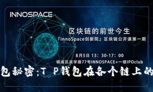 你不知道的钱包秘密：T P钱包在各个链上的交易方式揭秘