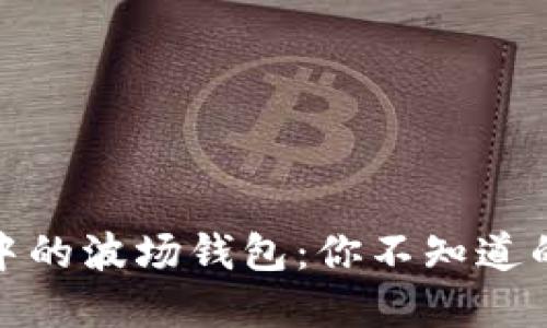 : 探索TP钱包中的波场钱包：你不知道的秘密与可能性