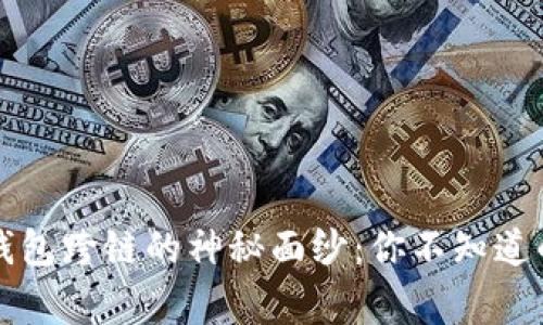 区块链钱包跨链的神秘面纱:你不知道的那些事