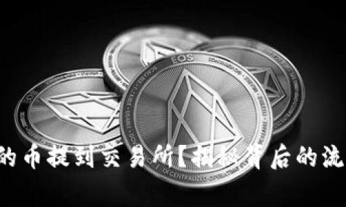 如何将钱包中的币提到交易所?揭秘背后的流程和注意事项!