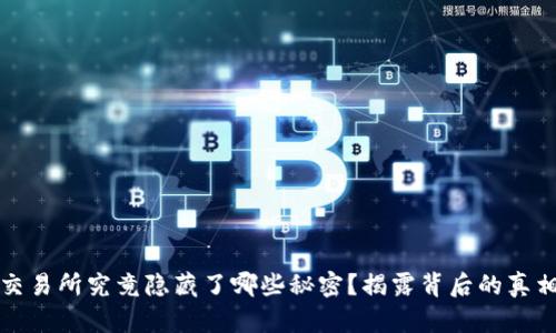 虚拟币交易所究竟隐藏了哪些秘密？揭露背后的真相与风险