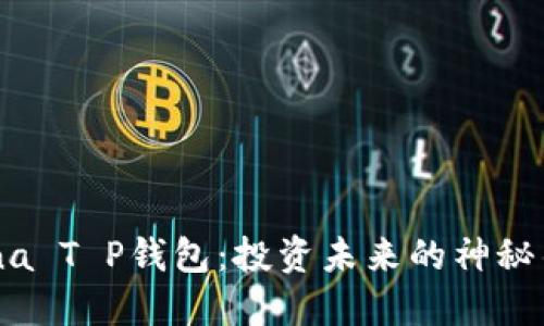 “Luna T P钱包:投资未来的神秘钥匙”