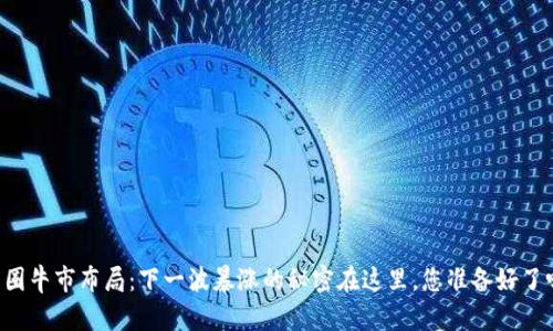 币圈牛市布局:下一波暴涨的秘密在这里,您准备好了吗?