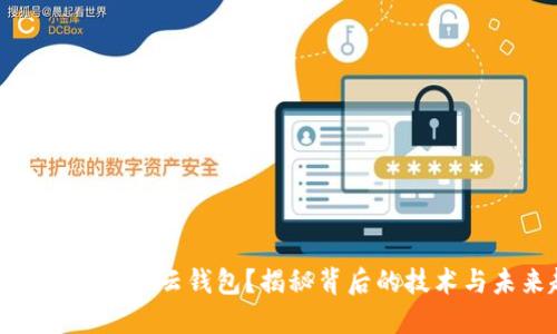 如何开发区块链云钱包？揭秘背后的技术与未来趋势