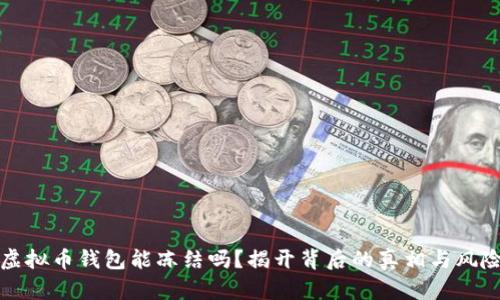 虚拟币钱包能冻结吗?揭开背后的真相与风险