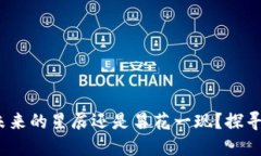 絿tai“狗狗币：未来的星