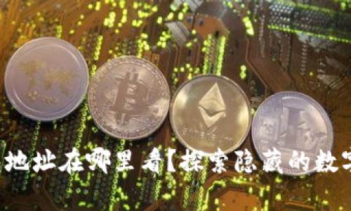 小狐狸钱包地址在哪里看？探索隐藏的数字财富之路！