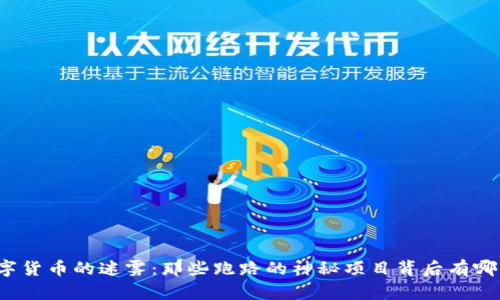 揭开数字货币的迷雾:那些跑路的神秘项目背后有哪些真相?