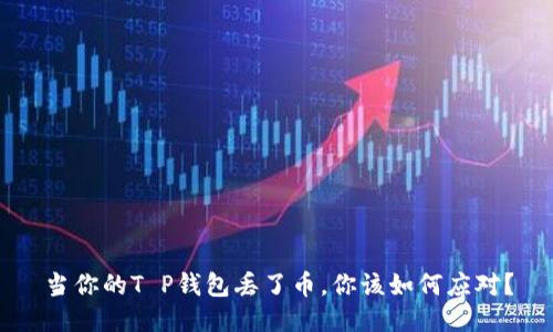 当你的T P钱包丢了币,你该如何应对?
