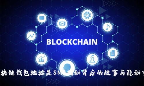 : 区块链钱包地址是SM?揭秘背后的故事与隐秘交易!