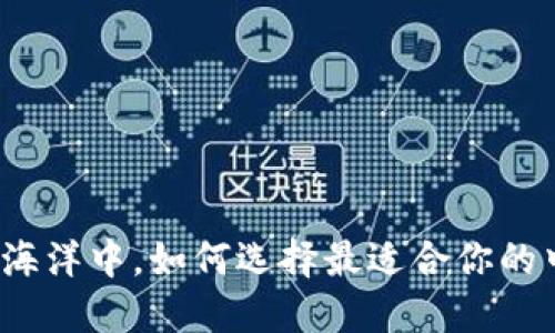 在区块链的海洋中,如何选择最适合你的中性化钱包?
