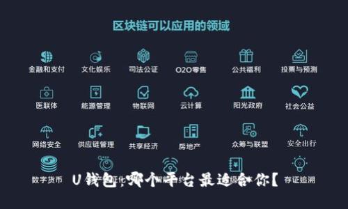U钱包:哪个平台最适合你?
