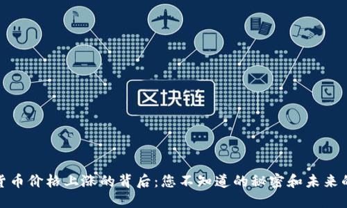 加密货币价格上涨的背后：您不知道的秘密和未来的趋势