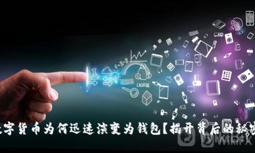 数字货币为何迅速演变为钱包?揭开背后的秘密!