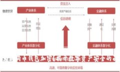 何为狗狗币钱包加密？揭